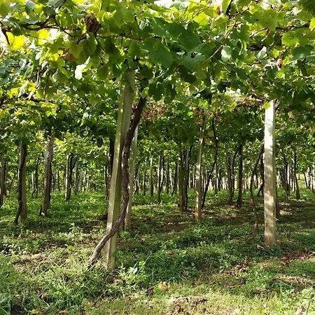 Especial Ultima Hora - Sarakatua15 - Vistas Espectaculares - Familias Y Parejas - 2 Independientes - Amplio Salon Cocina Comedor - Tarjeta Parking Ota Gratis - Julio Y Agosto Minima 7 Noches De Domingo A Domingo - Lägenhet *