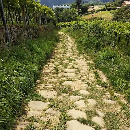 Sarakatua15: Spacious Family With Spectacular Views Apartment